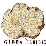 Tartufo Glossario