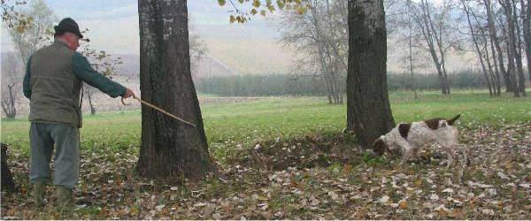 Canelli Tartufaia da bianco dAlba