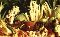 verdure per bagna caoda Canelli