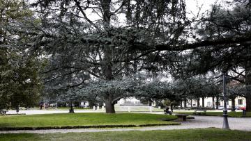 Giardini di Piazza dante