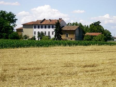 cascinale in terra