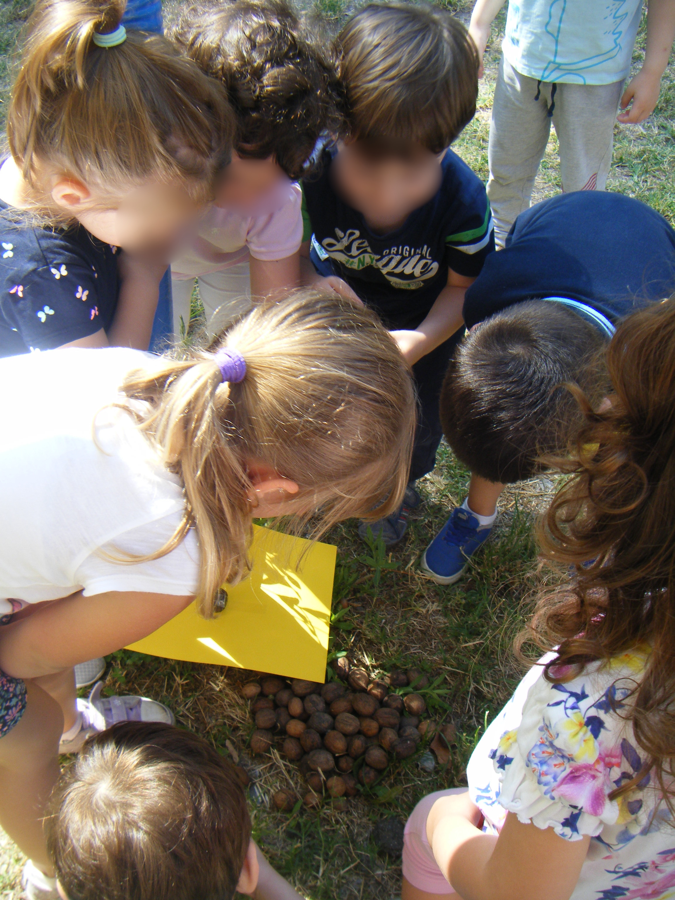 Bambini al parco