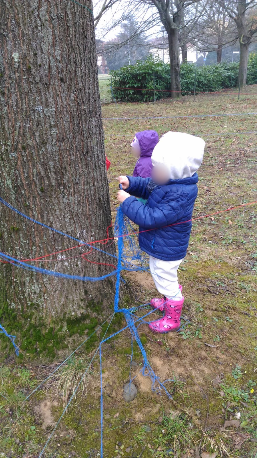 Bambino vicino all'albero