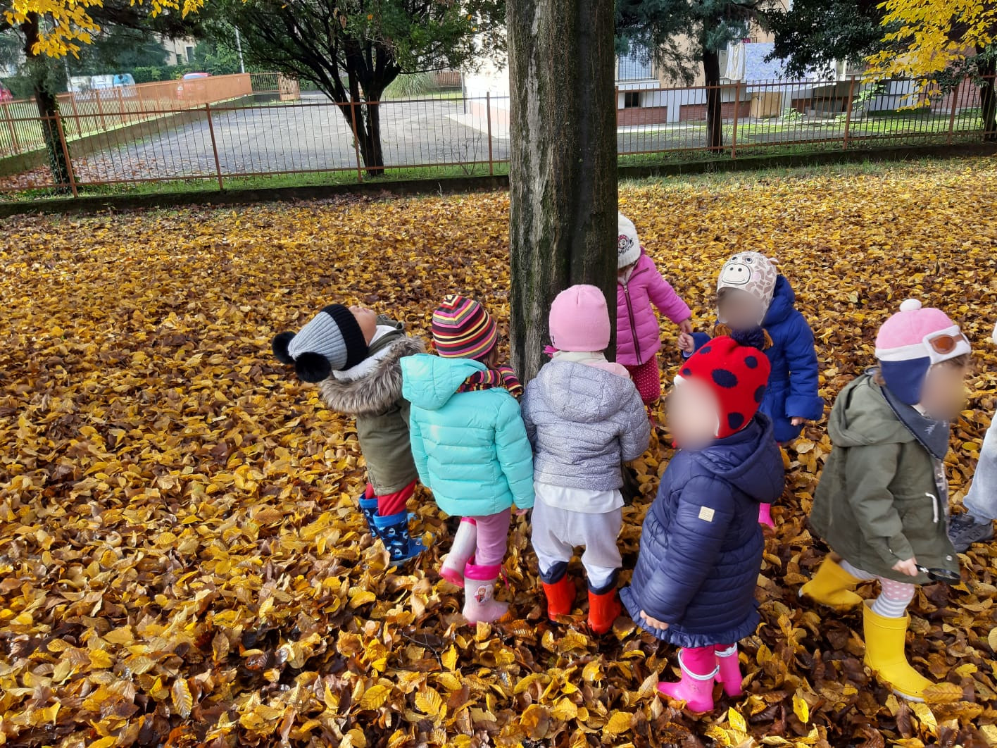 Bambini intorno ad un albero