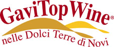 Gavi Top Wine