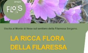 LA RICCA FLORA DELLA FILARESSA