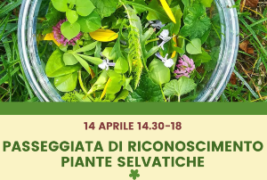 PASSEGGIATA DI RICONOSCIMENTO PIANTE SELVATICHE