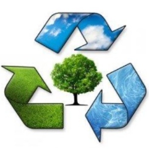 Verde Pulito