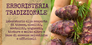 Erboristeria Tradizionale: laboratorio pratico a Ranica