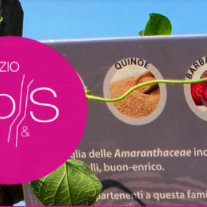 Incontro divulgativo con uscita presso Valle della Biodiversità di Astino - Bergamo